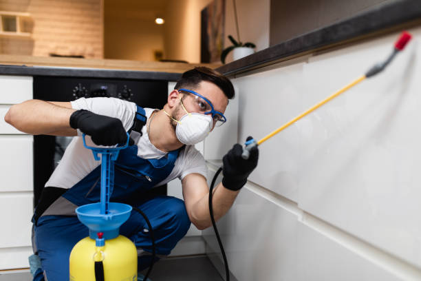 Best Emergency Pest Control  in Buffalo, MO